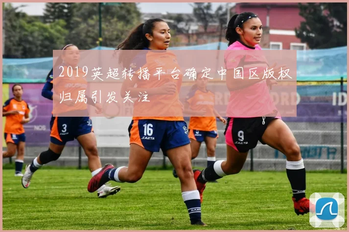 2019英超转播平台确定中国区版权归属引发关注