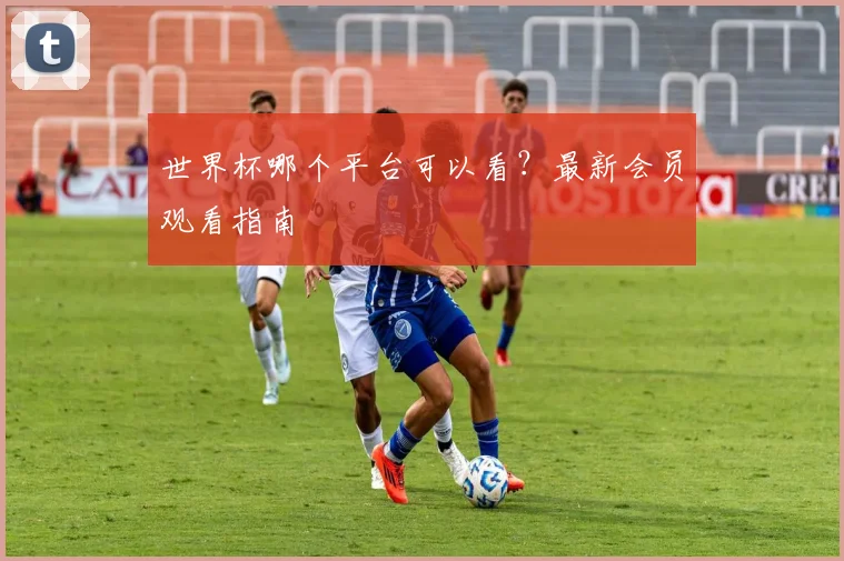 世界杯哪个平台可以看？最新会员观看指南