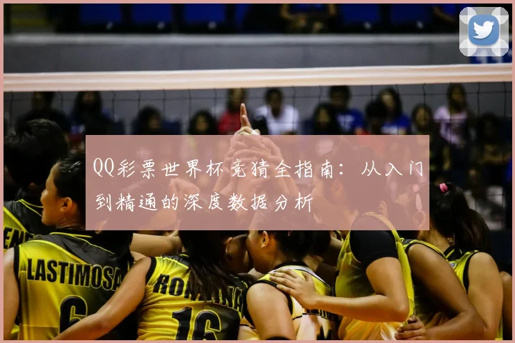QQ彩票世界杯竞猜全指南：从入门到精通的深度数据分析
