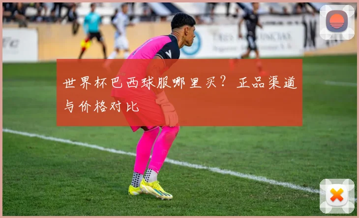 世界杯巴西球服哪里买?正品渠道与价格对比