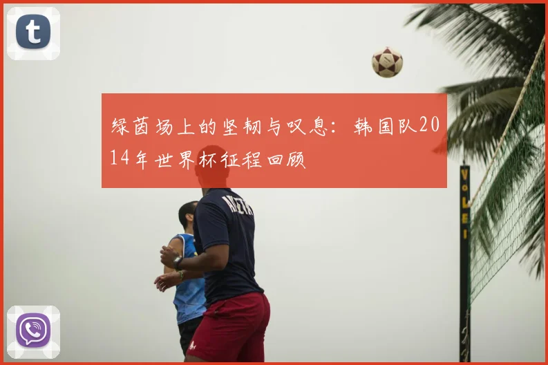 绿茵场上的坚韧与叹息：韩国队2014年世界杯征程回顾