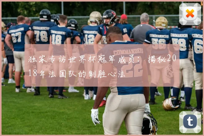 独家专访世界杯冠军成员:揭秘2018年法国队的制胜心法