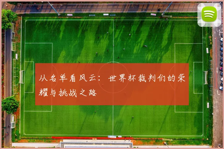 从名单看风云:世界杯裁判们的荣耀与挑战之路