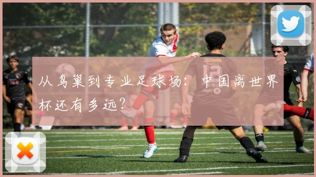 从鸟巢到专业足球场:中国离世界杯还有多远?