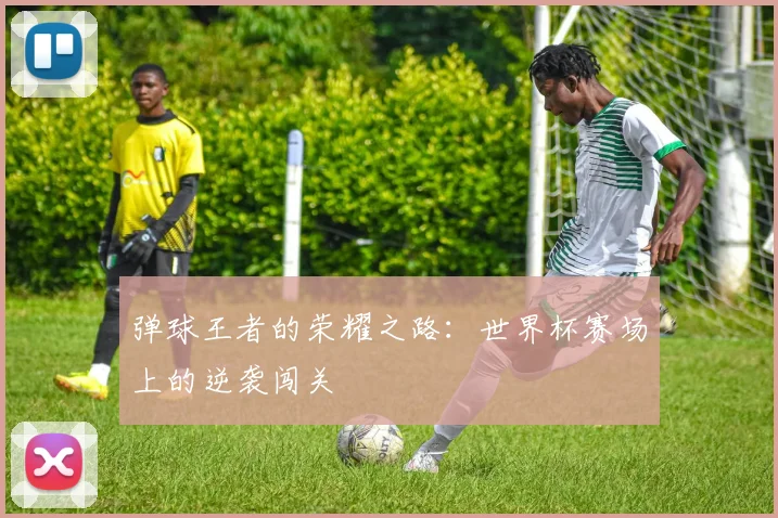 弹球王者的荣耀之路：世界杯赛场上的逆袭闯关