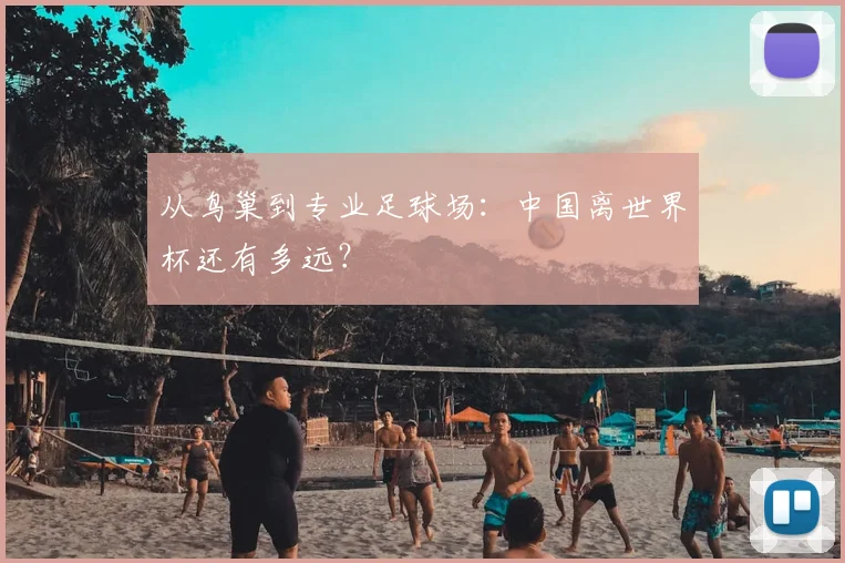从鸟巢到专业足球场:中国离世界杯还有多远?