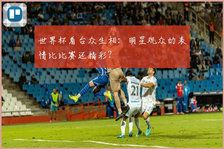 世界杯看台众生相：明星观众的表情比比赛还精彩？